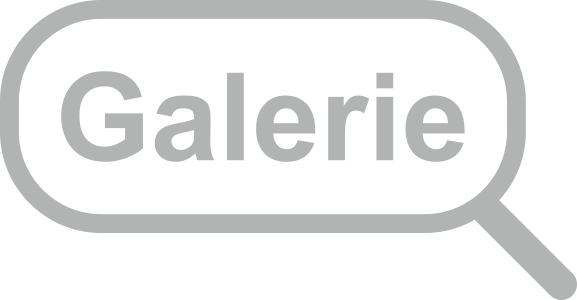 Darstellung der Galerie-Schaltfläche